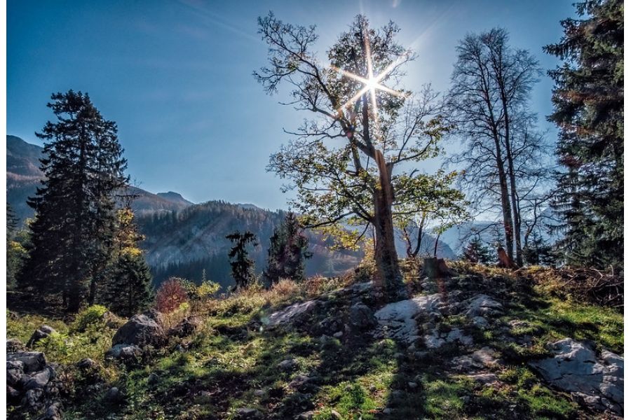 Samyang 12mm F2.0 NCS CS X