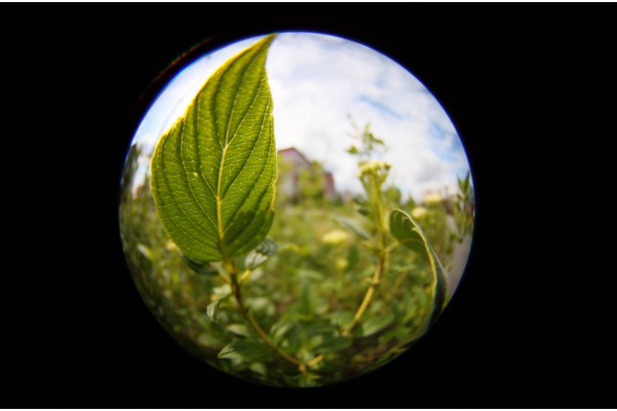 Sigma AF 4.5mm f/2.8 EX DC CIRCULAR FISHEYE HSM