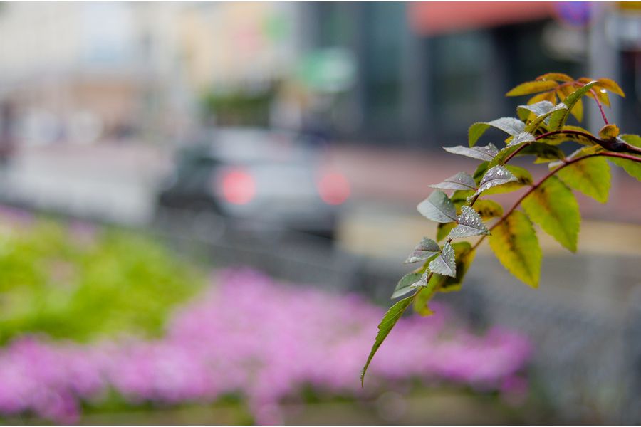 Pentax-A SMC 35-70mm f/3.5-4.5