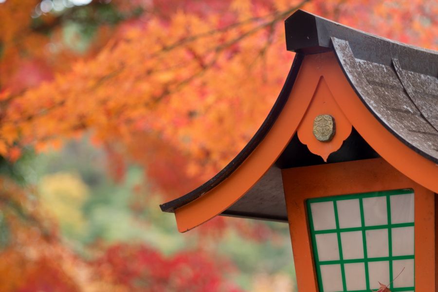 Summaron f=3.5cm 1:3.5 Leitz Wetzlar (Germany, 1951)