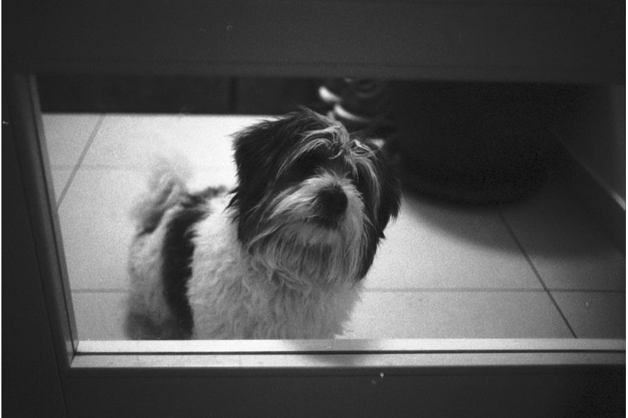 Summaron f=2.8cm 1:5.6 Leitz Wetzlar (Germany, 1957)