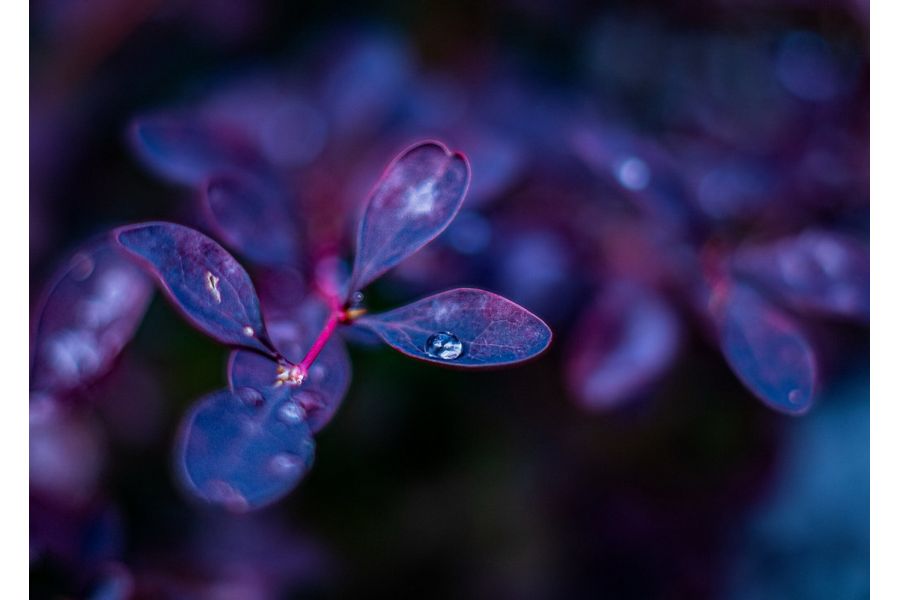 TTArtisan 35mm f/1.4 Fujifilm X в упаковке