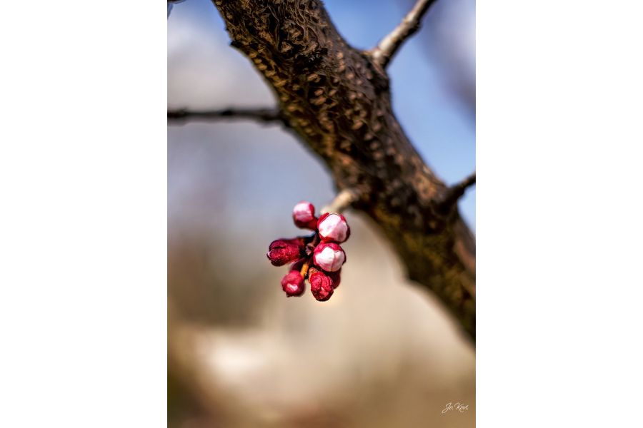 TTArtisan 35mm f/1.4 Fujifilm X в упаковке