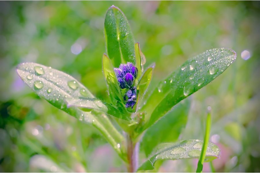 Редкий Индустар-50У  3.5/5см (СССР, 1964г.)