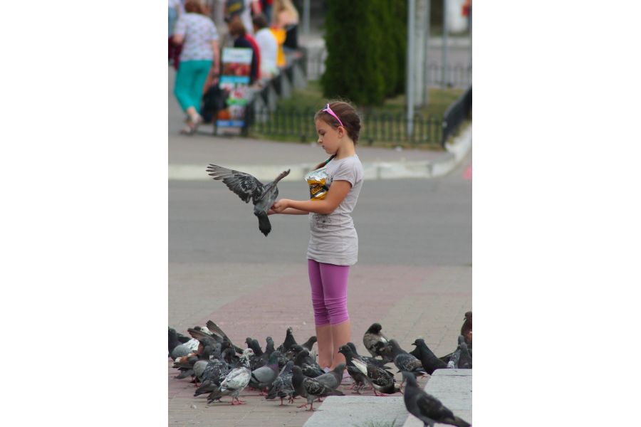 Tamron AF 75-300mm f/4-5.6 LD TELE-MACRO (f/3.9) Sony A