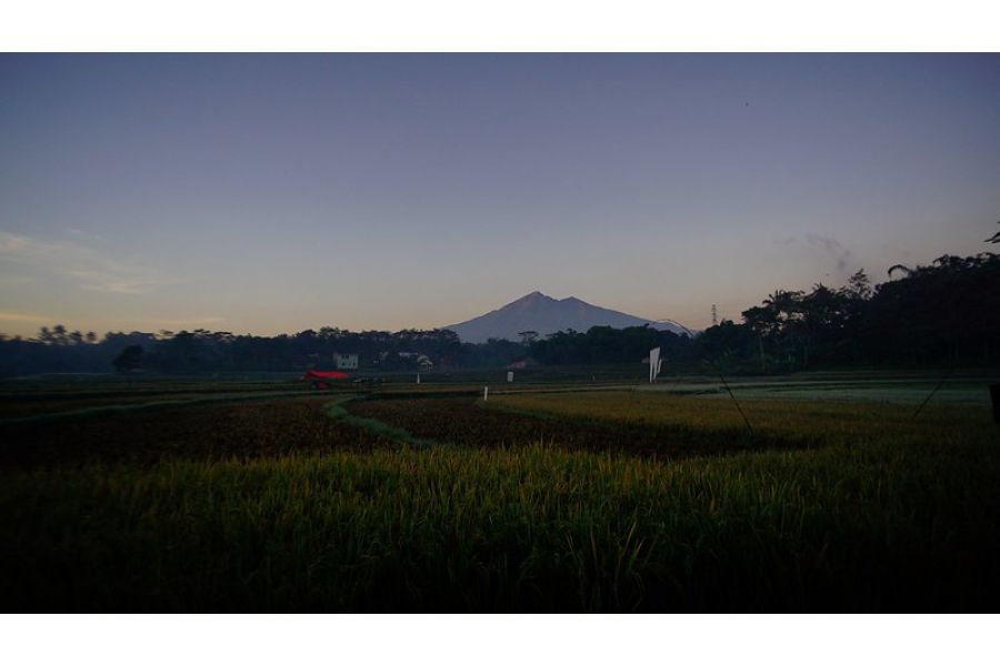 Voking 12mm f/2.8 MC for Canon EF-M