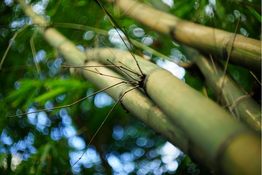 Зенитар-М МС 1,9/50 для Fujifilm FX