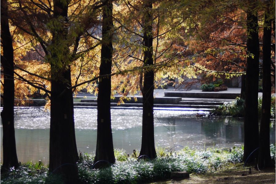 Sigma Standard Zoom 35-70mm/2.8-4 MC