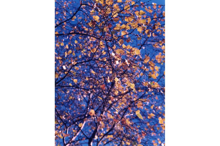 Cosina МС 28-200mm/3,5-5,6 Japan 