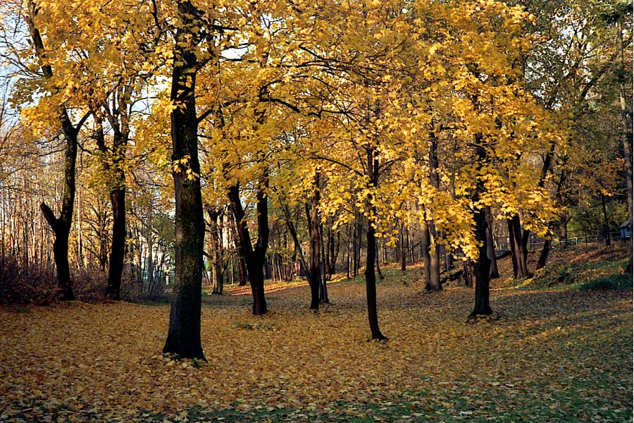 Cosina МС 28-200mm/3,5-5,6 Japan 