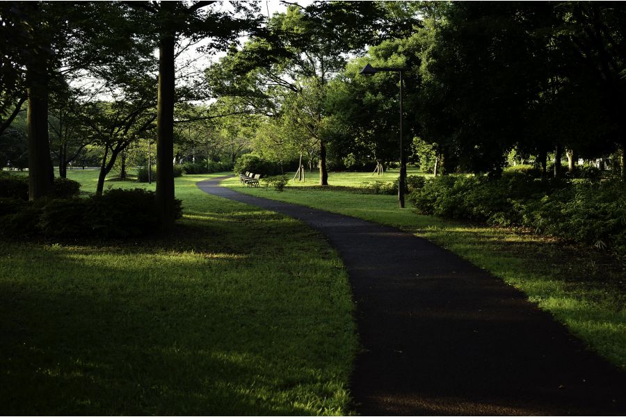 Voigtlander Ultron 40mm f/2 SL II Canon EF