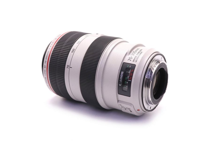 Canon EF 70-300mm f/4.0-5.6L IS USM