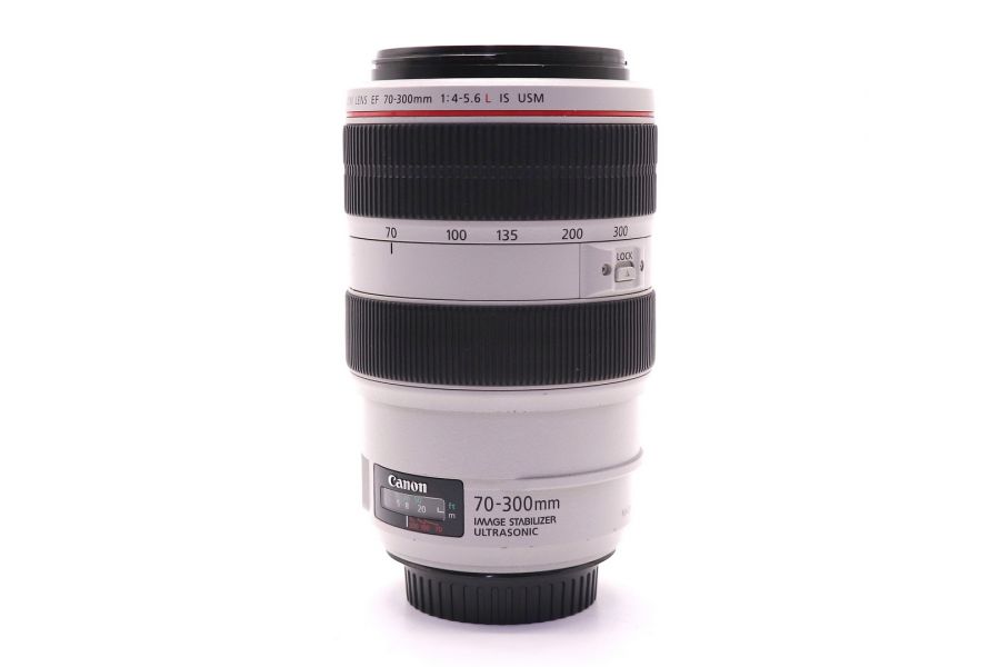Canon EF 70-300mm f/4.0-5.6L IS USM