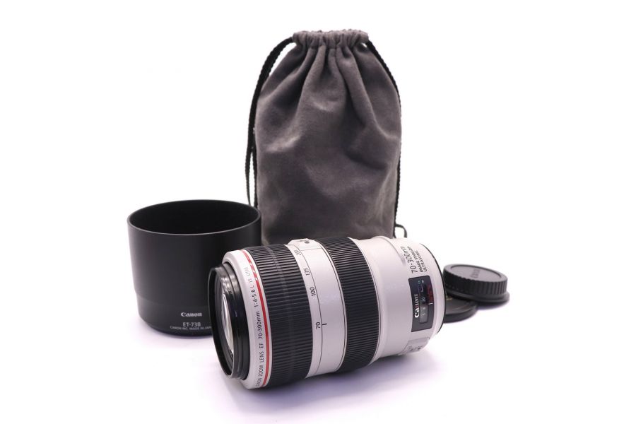 Canon EF 70-300mm f/4.0-5.6L IS USM