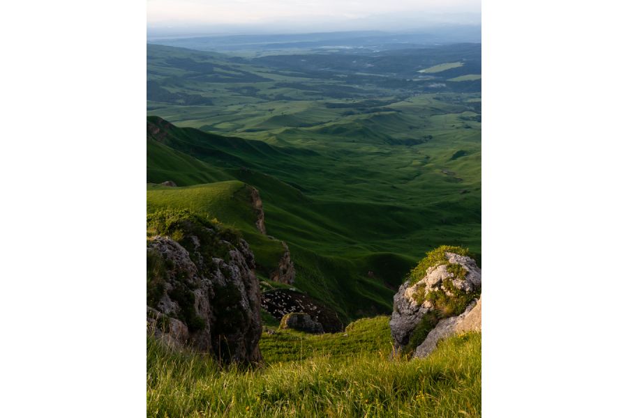 Sony Vario-Sonnar T*24-70mm f/2.8 ZA SSM II (SAL-2470Z2)