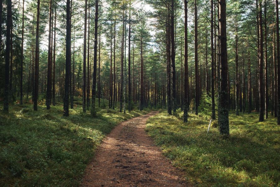 Мир-1 2,8/37 КМЗ (СССР, 1964)