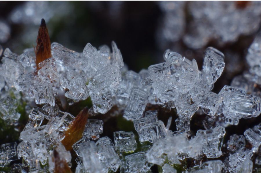 Mikar S f/4.5 55mm M39