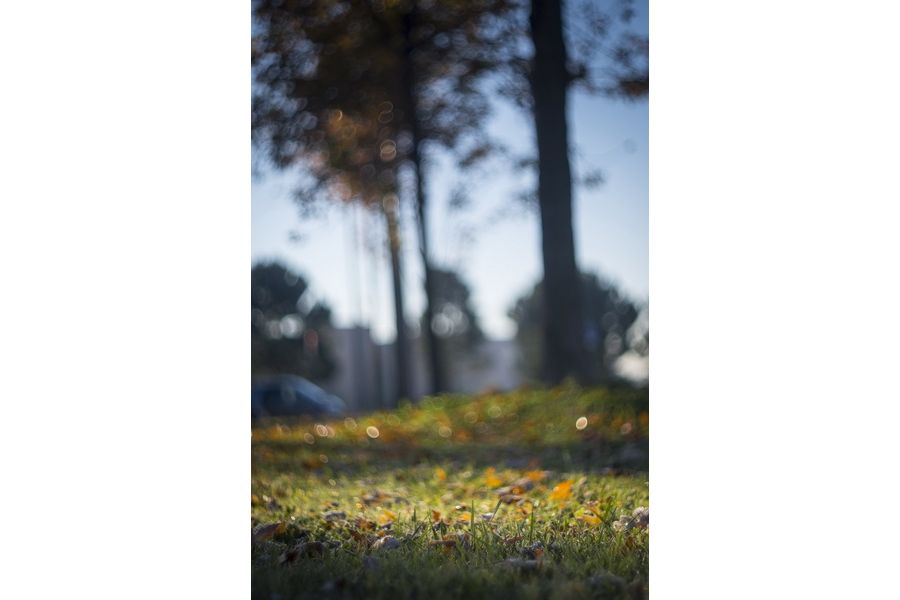 Revuenon Auto MC 1.7/50mm (Japan, 1984г.)