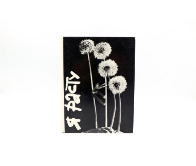 Я расту. Фотографируют дети