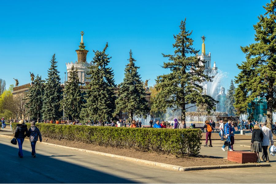 Makro-Planar 2/50 ZF T* Carl Zeiss Nikon F