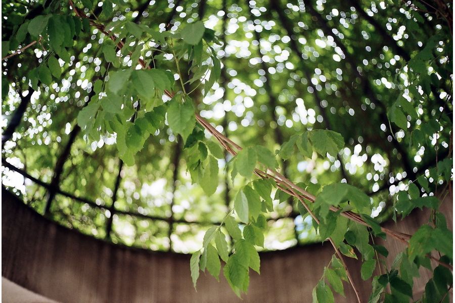 Minolta Hi-Matic 9 (Japan, 1966)