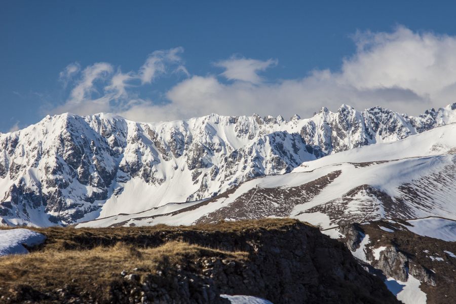 Hanimex 135mm f/2.8 Automatic MC (М42, Japan)