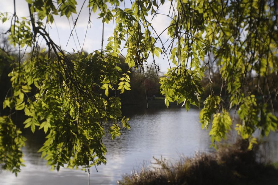 Risespray 35mm f/1.6 Fujifilm X новый