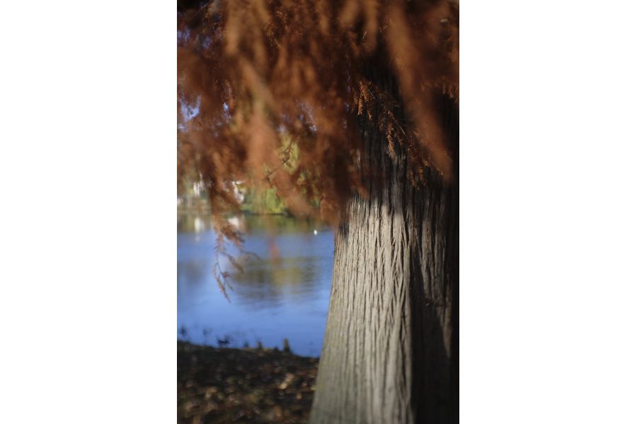 Risespray 35mm f/1.6 Fujifilm X новый