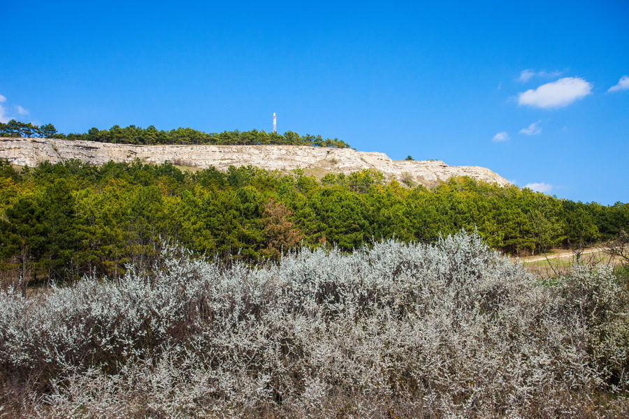 Canon EF 28-70mm 3.5-4.5 II