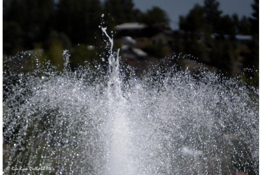 Hanimar 35mm f/3.5 M42 (Japan, 1983)