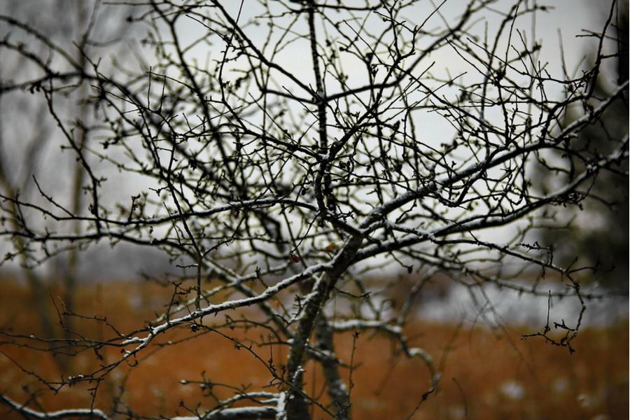 ОП-1,8  1,4/18mm ЛОМО 