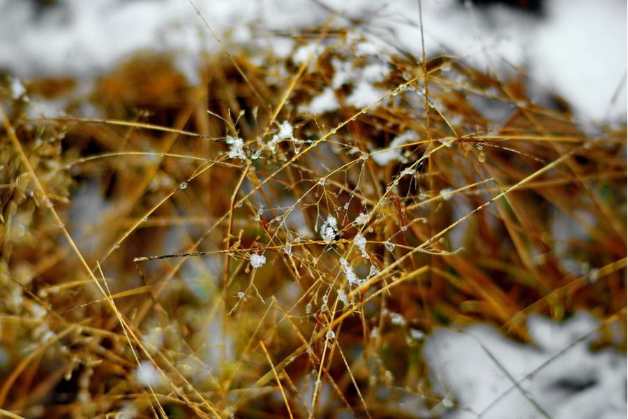 ОП-1,8  1,4/18mm ЛОМО 