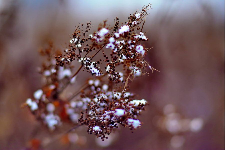 ОП-1,8  1,4/18mm ЛОМО 