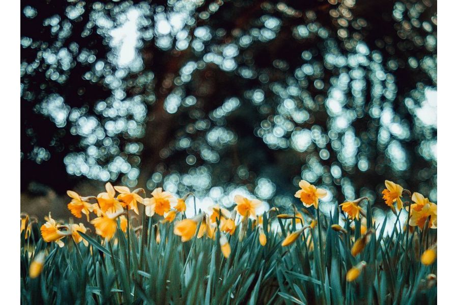 Триплет 2,8/75 (СССР, 1971)