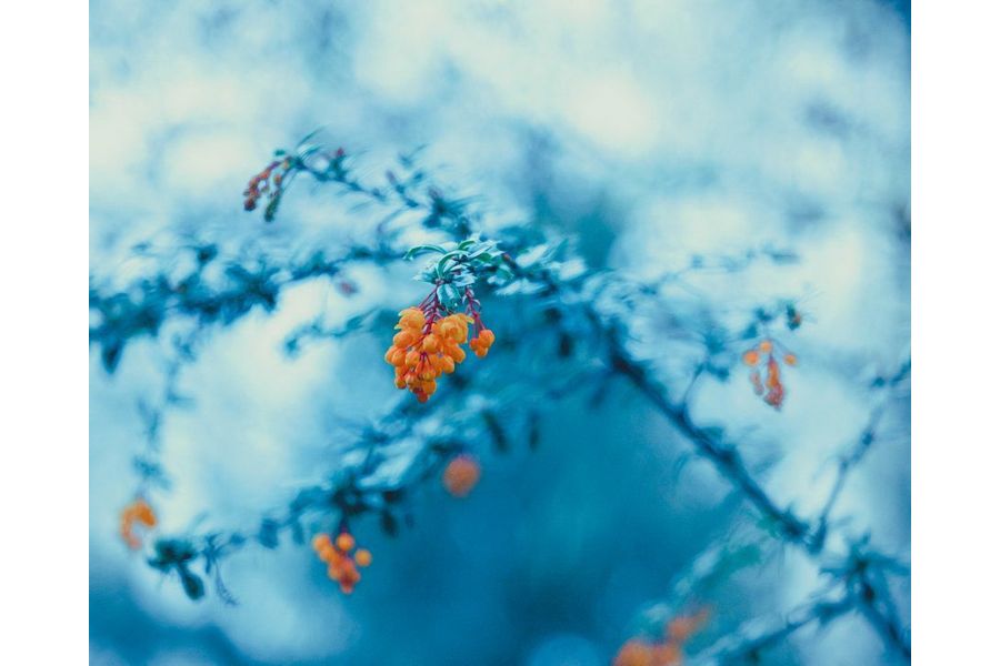 Триплет 2,8/75 (СССР, 1971)