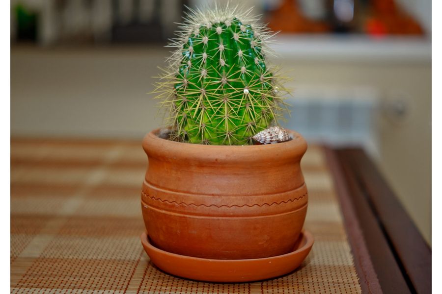 Триплет 2,8/75 (СССР, 1971)