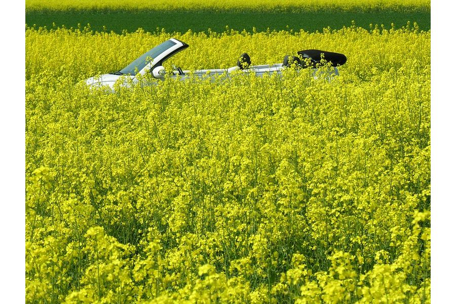 Samyang MC 500mm f/8.0 Mirror lens