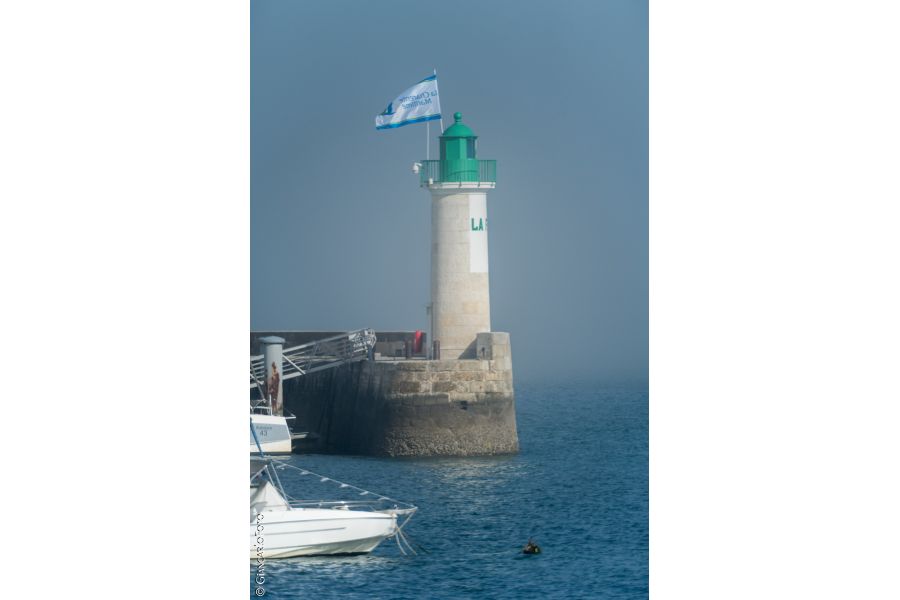 Samyang MC 500mm f/8.0 Mirror lens