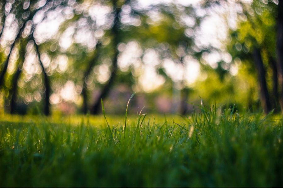 Редкость Гелиос-77К-4 МС 1.8/50 (новый)