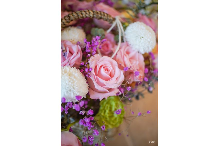 TTartisan 25mm f/2 APS-C для Canon EOS M