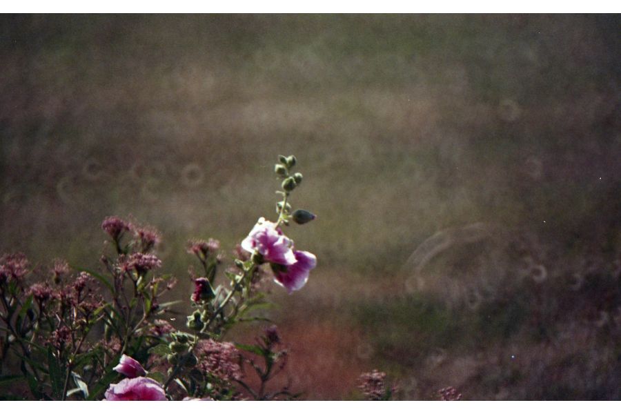 Mirrior Lens 500mm/6,3 DX