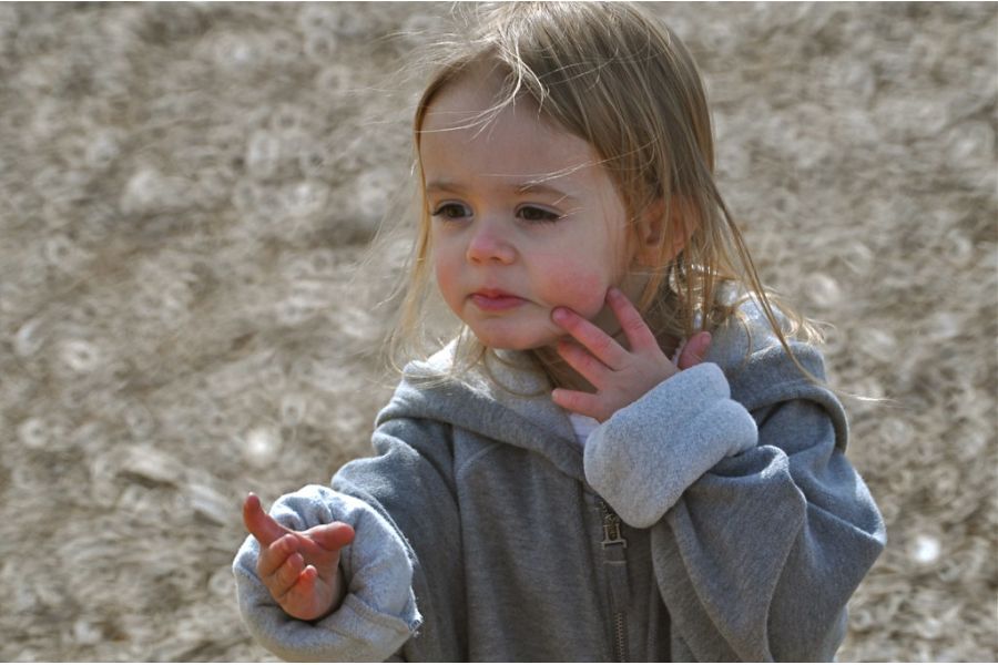 Mirrior Lens 500mm/6,3 DX