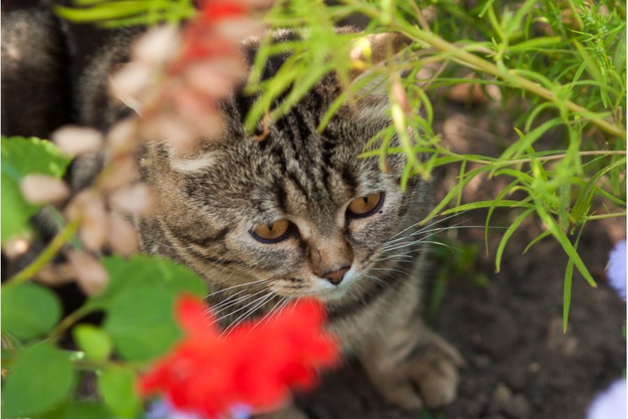 Вега-28Б МС 2.8/120 (СССР, 1987)