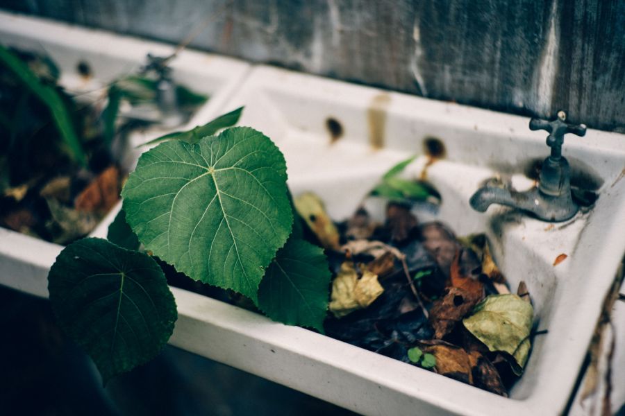 Юпитер-3 1,5/50 Киев / Contax (СССР, 1971)