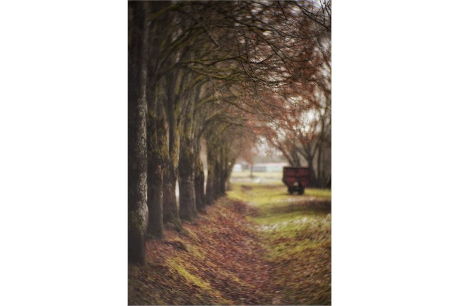 КО-140М 1,8/140 (БелОМО, 1960г.)