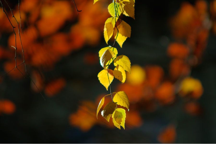 Soligor MC 100-300mm/5