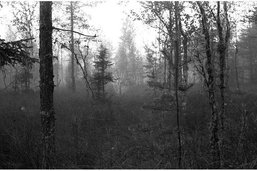 Зоркий 4К + Индустар-50 3,5/50 (КМЗ, 1976)