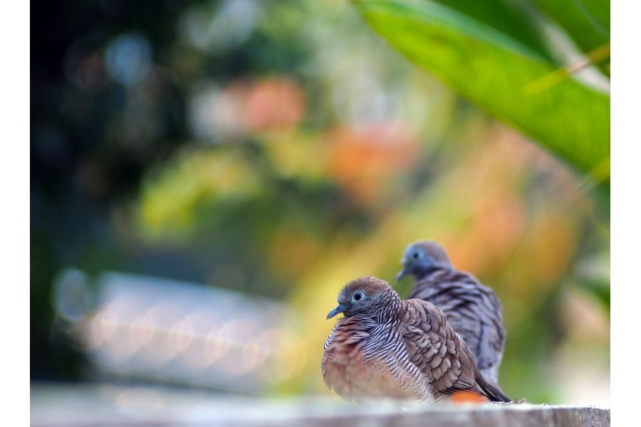 Объектив Юпитер-37А 3.5/135 для Nikon (СССР)