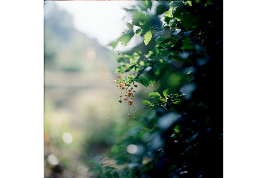 Новье Калейнар 3Б 2.8/150mm для Canon