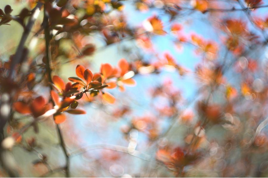 Редкий Зенит 122к + Гелиос-44К-4 МС